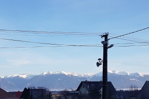 20171125_081017.jpg